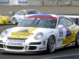 Brewster - Knockhill